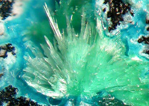 1_redgillite