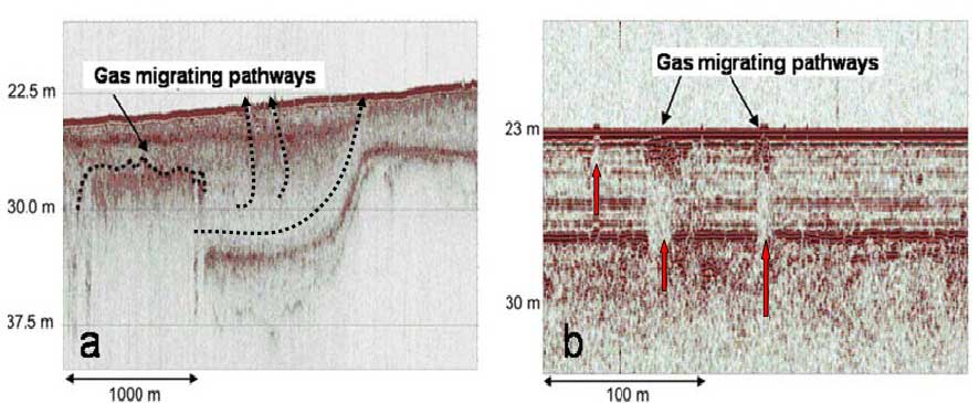 Over-pressured-gas-fronts-serve-as-apowerful-geological-force-to-build-upmigration-pathways