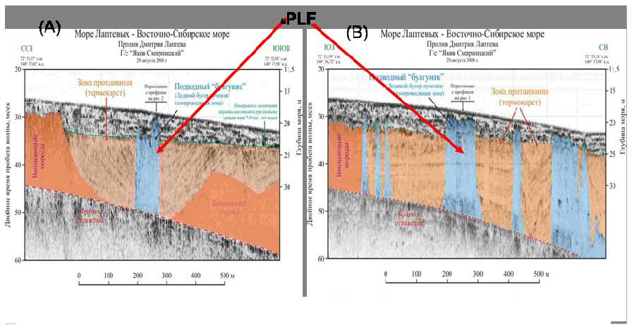 Pingo-like features observed in the Dmitry Laptev Strait (August, 2008)