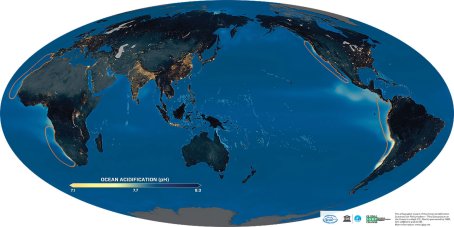 Compared with preindustrial levels shown here, the projected increase in ocean acidity is about 170% by 2100 if high CO2 emissions continue (RCP* 8.5).
