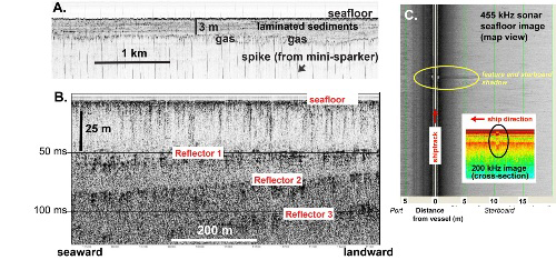 Seafloor and shallow subseafloor imagery collected on the US Beaufort Shelf in the area of subsea permafrost in 2010