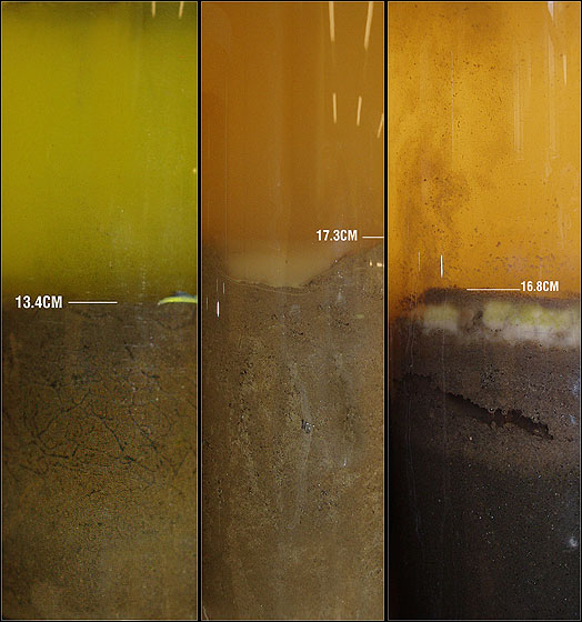 Winogradsky_column