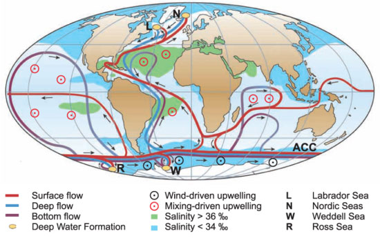 The source of Antarctic Bottom Water in the Weddell sea labelled W at the bottom of the figure has failed because the ocean surface water has freshened forming a lid over the deeper warmer, saltier waters.