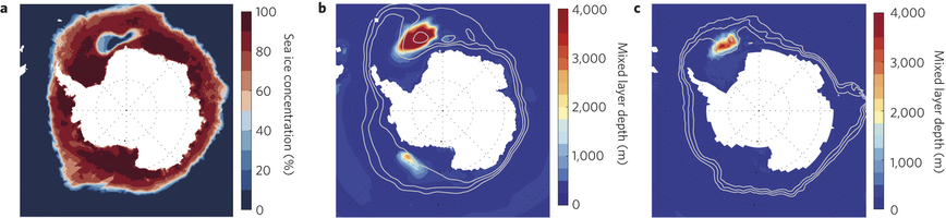 a, Observed 1974–1976 mean September sea ice concentration (%) from Nimbus-5 ESMR Polar Gridded Sea Ice Concentrations30 delineating the Weddell Polynya extent. b, September mixed layer depth (shading) and 25%, 50% and 75% September. Image: nature