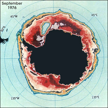 In the mid-1970s, Nimbus sensors were recording sea ice concentrations in the Southern Ocean surrounding Antarctica when they detected a large ice-free opening in the ice pack. This patch of open water, called a polynya, recurred each winter between 1974-76, and has not retuned since. In the image at left, Antarctica is colored black and sea ice concentrations appear in shades of red and orange. The Weddell Sea polynya is the light blue (open water) area in the upper left quadrant of the image. Credit: Claire Parkinson (NASA GSFC)