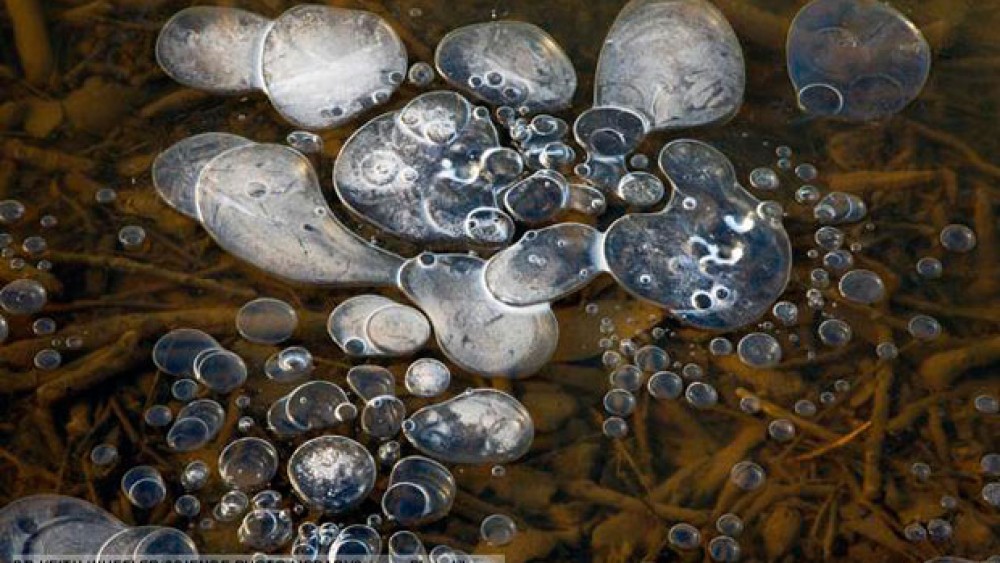 Greenhouse gas bubbling to lake surface.