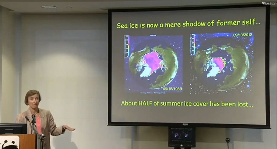 Research presentation on extreme weather.