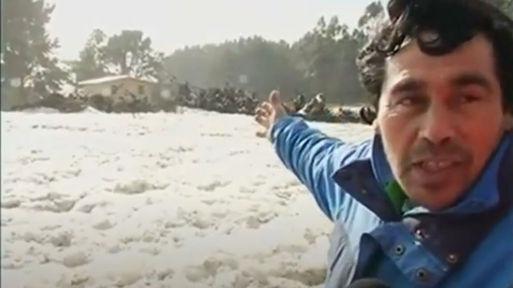 Hawkkey Davis (2013)