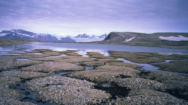 Features on Kvadehukslette