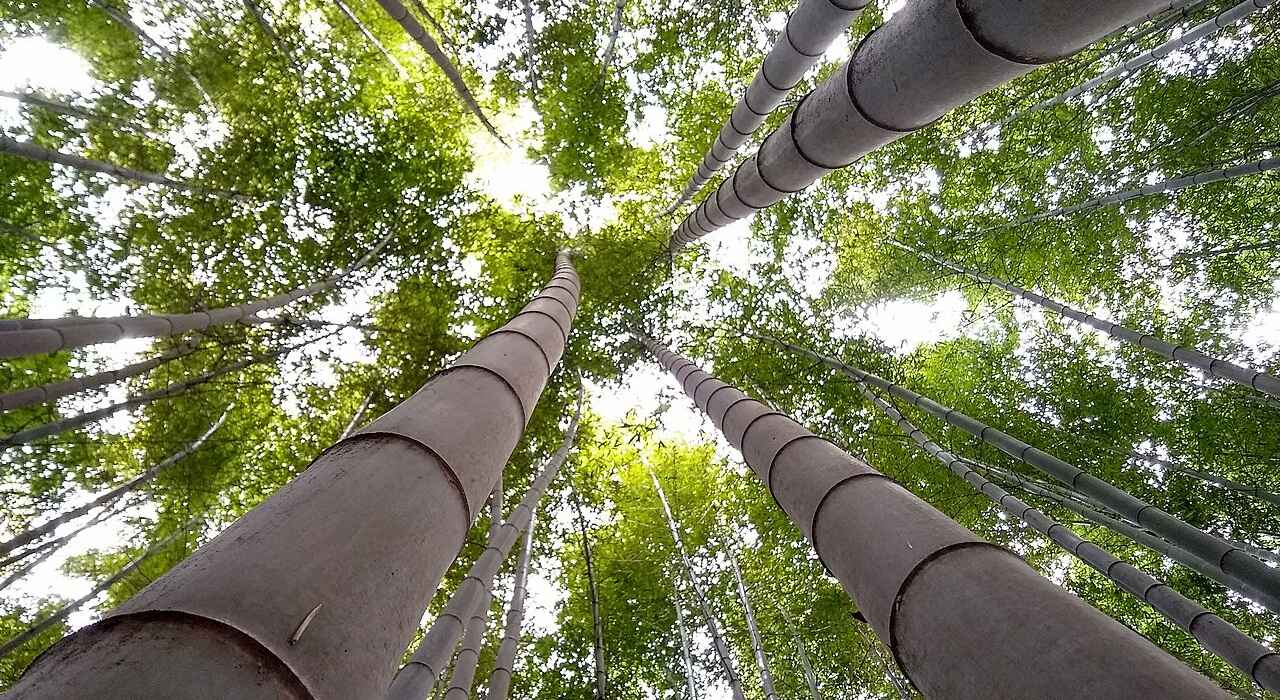 Gochangupseong Fortress South Korea.