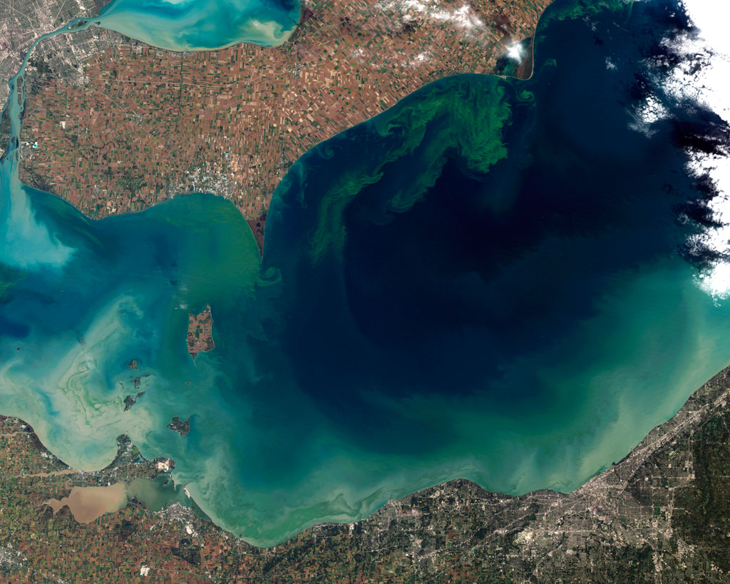 Massive microcystis algae bloom outbreak captured by NASA satellites (2011).
