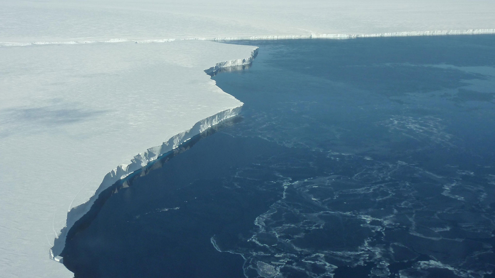 The vertical face of the ice shelf is almost 200 feet high and is estimated to extend another 1000 feet below the ocean surface.
