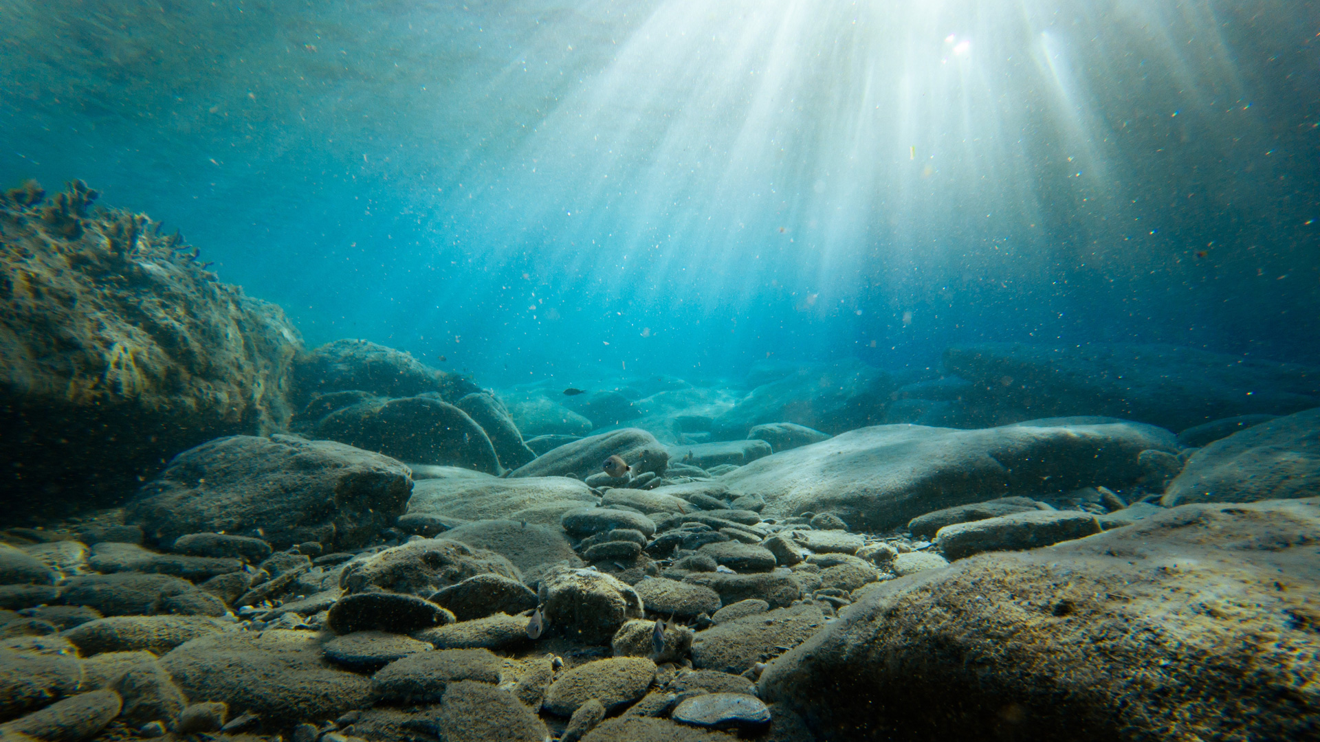 Scripps-Institution-of-Oceanography-geochemist-Miriam-Kastner-science-lecture