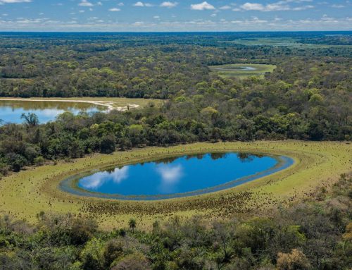 CarbonBrief: ‘Exceptional’ surge in methane emissions from wetlands worries scientists