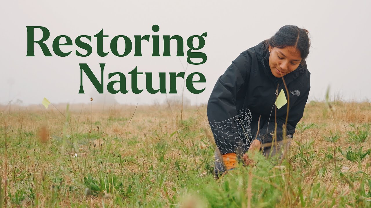 Restoring Nature a story of Biodiversity and Community at Elings Park, California / United States (2024).