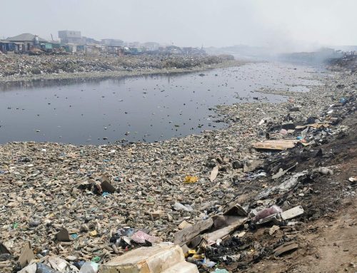Study: How to avoid the ingestion of microplastics?