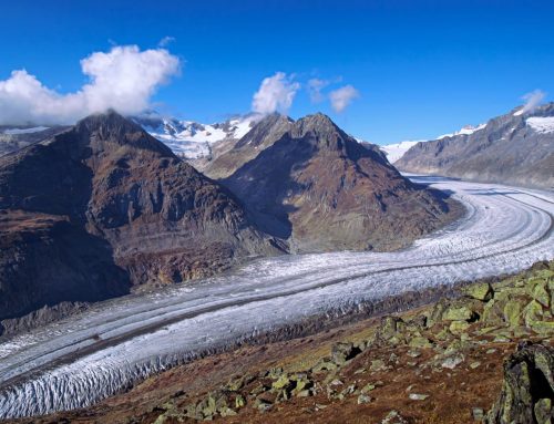 Alpine glaciers: Very severe ice loss