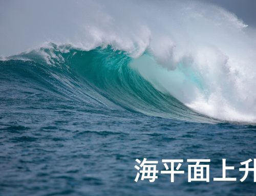 预计本世纪南极地表融化将显著增加