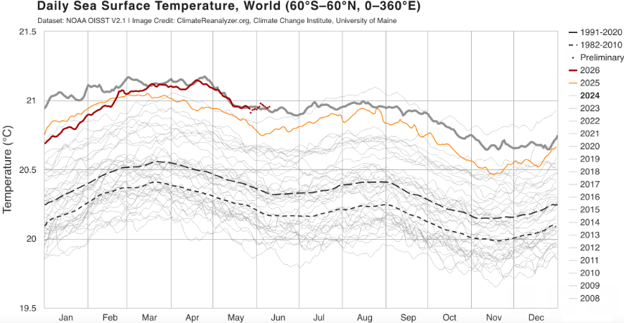 Fig. 8. NOAA OISST V2.1 Image Credit: ClimateReanalyzer.org, Climate Change Institute, University of Maine. The red curve is 2026; the heavy grey curves are 2024 (upper figure) and 2023 (lower figure).
