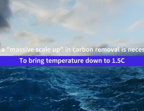 Experts: Why a “massive scale up” in carbon removal is necessary to bring temperature down to 1.5C
